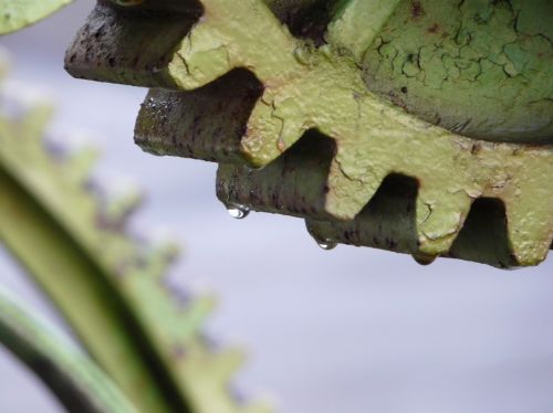 Fotografia de romar - Galeria Fotografica: sella - Foto: 