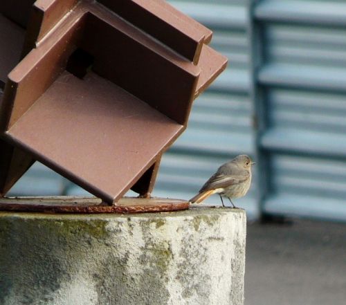 Fotografia de romar - Galeria Fotografica: sella - Foto: 