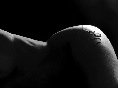 Fotografia de jorge de la vega fotografia publicitaria - Galeria Fotografica: miscelanea - Foto: 