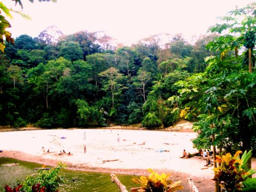 Fotografia de DONSHKA - Galeria Fotografica: ESTERO DEL PLATANO - Foto: la isla perdida