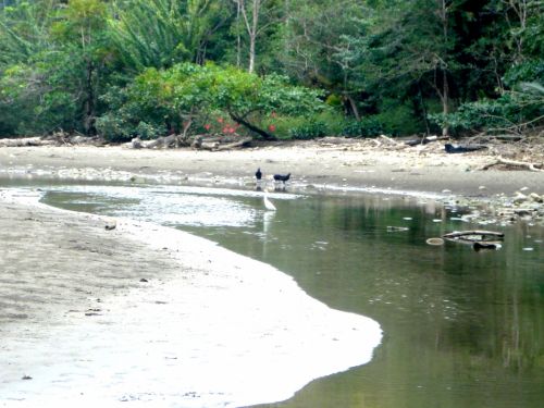 Fotografia de DONSHKA - Galeria Fotografica: ESTERO DEL PLATANO - Foto: 