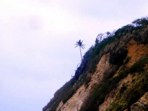 Fotografia de DONSHKA - Galeria Fotografica: ESTERO DEL PLATANO - Foto: 