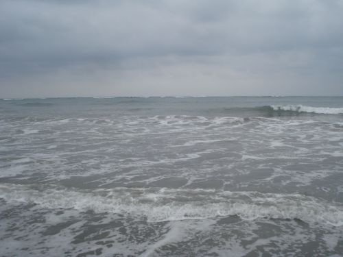 Fotografia de DONSHKA - Galeria Fotografica: ESTERO DEL PLATANO - Foto: 