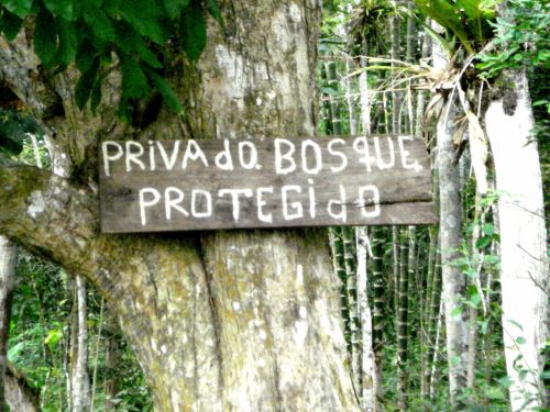 Fotografia de DONSHKA - Galeria Fotografica: ESTERO DEL PLATANO - Foto: 