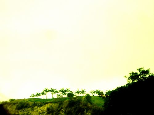 Fotografia de DONSHKA - Galeria Fotografica: ESTERO DEL PLATANO - Foto: 