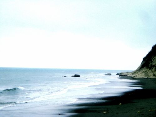 Fotografia de DONSHKA - Galeria Fotografica: ESTERO DEL PLATANO - Foto: 