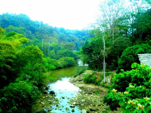 Fotografia de DONSHKA - Galeria Fotografica: ESTERO DEL PLATANO - Foto: 