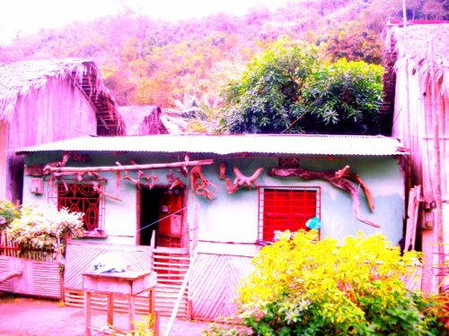 Fotografia de DONSHKA - Galeria Fotografica: ESTERO DEL PLATANO - Foto: 