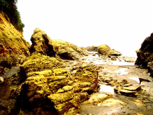 Fotografia de DONSHKA - Galeria Fotografica: ESTERO DEL PLATANO - Foto: 