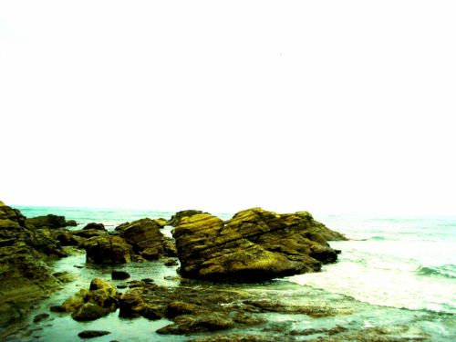 Fotografia de DONSHKA - Galeria Fotografica: ESTERO DEL PLATANO - Foto: 