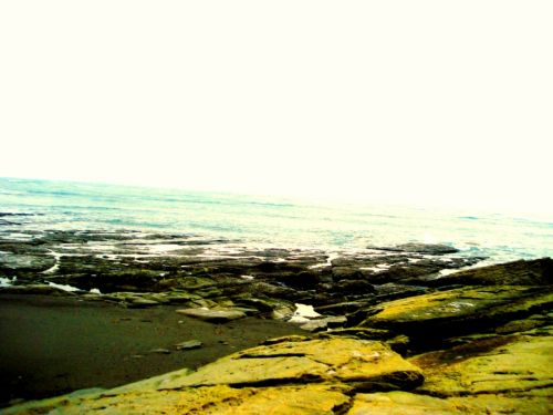 Fotografia de DONSHKA - Galeria Fotografica: ESTERO DEL PLATANO - Foto: 