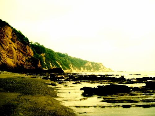 Fotografia de DONSHKA - Galeria Fotografica: ESTERO DEL PLATANO - Foto: 