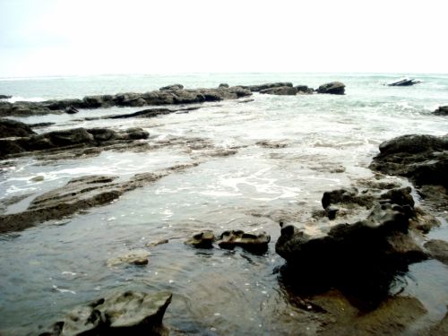 Fotografia de DONSHKA - Galeria Fotografica: ESTERO DEL PLATANO - Foto: 