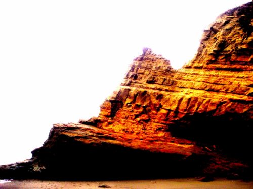 Fotografia de DONSHKA - Galeria Fotografica: ESTERO DEL PLATANO - Foto: 