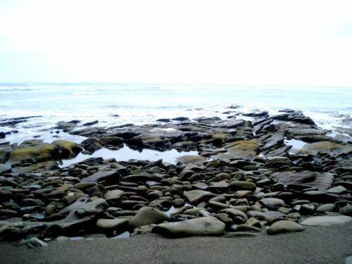 Fotografia de DONSHKA - Galeria Fotografica: ESTERO DEL PLATANO - Foto: 