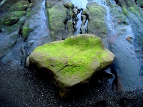 Fotografia de DONSHKA - Galeria Fotografica: ESTERO DEL PLATANO - Foto: 