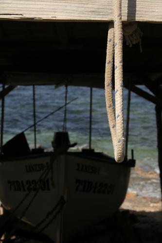 Fotografia de Dani - Galeria Fotografica: Formentera pesquera y detalles - Foto: Esperando