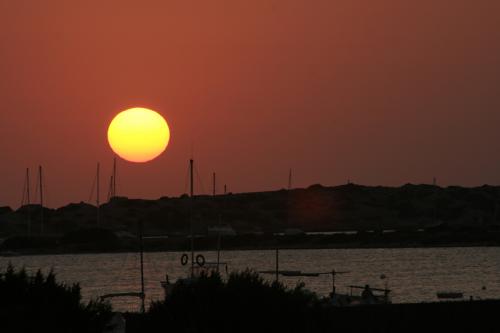 Fotografia de Dani - Galeria Fotografica: Formentera pesquera y detalles - Foto: Solazo