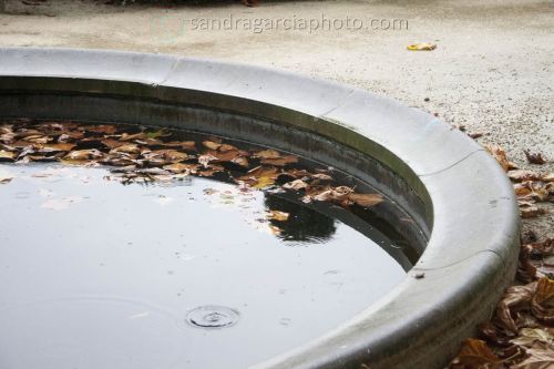 Fotografia de Sandra Garca Piero - Galeria Fotografica: Fotografia de calle - Foto: 