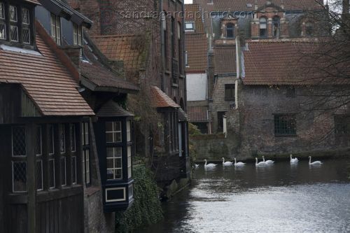 Fotografia de Sandra Garca Piero - Galeria Fotografica: Fotografia de calle - Foto: 