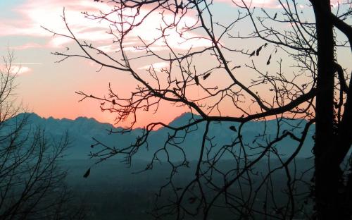 Fotografia de Gera - Galeria Fotografica: Mas fotos - Foto: 