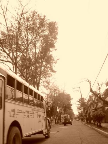 Fotografia de limpe - Galeria Fotografica: CALLE - Foto: CAMION							