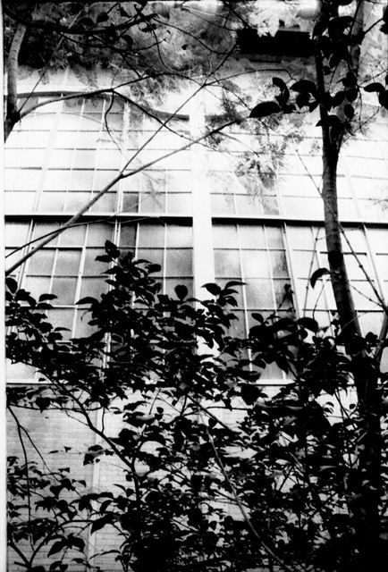 Fotografia de Sergio Zavala Soto - Galeria Fotografica: Abstract - Foto: 