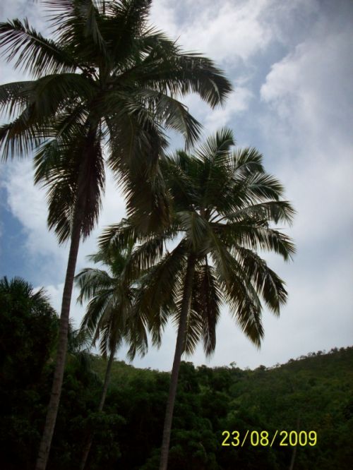 Fotografia de angely - Galeria Fotografica: Intentos - Foto: 