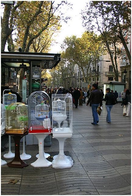 Fotografia de noubook - Galeria Fotografica: Urbanas - Foto: 