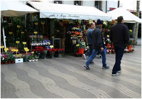 Fotografia de noubook - Galeria Fotografica: Urbanas - Foto: 