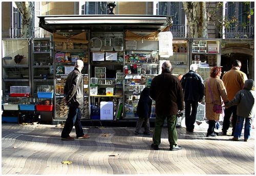 Fotografia de noubook - Galeria Fotografica: Urbanas - Foto: 