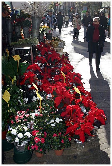 Fotografia de noubook - Galeria Fotografica: Urbanas - Foto: 