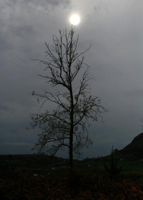 Fotografia de CeCe Fotos - Galeria Fotografica: Naturaleza y arquitectura - Foto: 