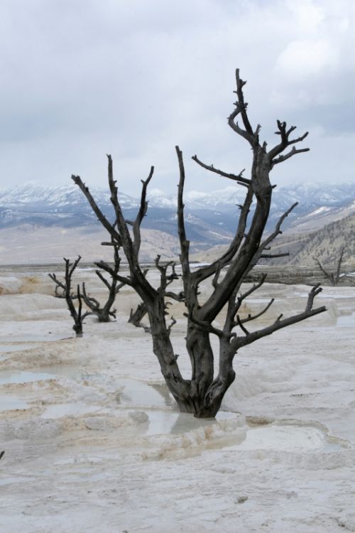 Fotografia de CeCe Fotos - Galeria Fotografica: Naturaleza y arquitectura - Foto: 