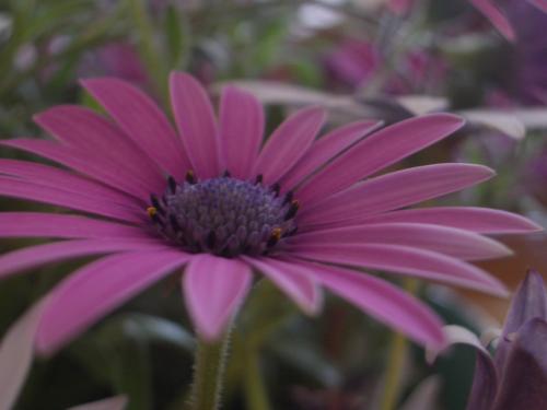 Fotografia de Arnau Selga - Galeria Fotografica: Textures - Foto: 