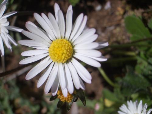 Fotografia de Arnau Selga - Galeria Fotografica: Textures - Foto: 