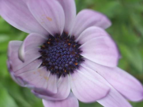 Fotografia de Arnau Selga - Galeria Fotografica: Textures - Foto: 