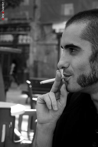 Fotografia de alexalvarez - Galeria Fotografica: Viaje a los sueos polares II - Foto: Ivan Garcia