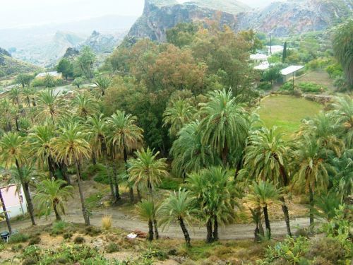 Fotografia de dinamita - Galeria Fotografica: yo.. - Foto: 