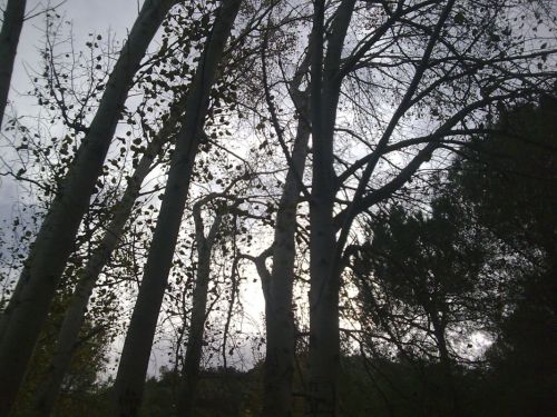 Fotografia de dinamita - Galeria Fotografica: yo.. - Foto: 