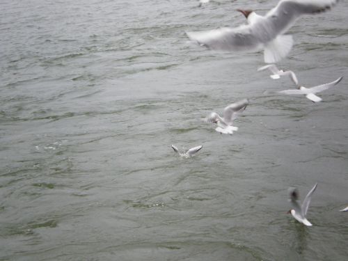 Fotografia de dinamita - Galeria Fotografica: yo.. - Foto: 