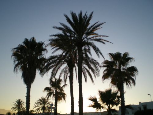 Fotografia de dinamita - Galeria Fotografica: yo.. - Foto: 