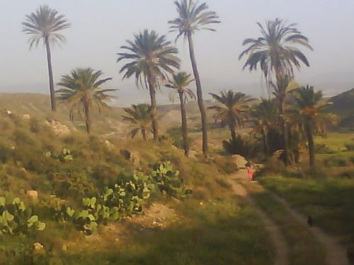 Fotografia de dinamita - Galeria Fotografica: yo.. - Foto: 