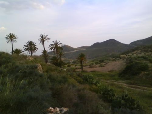 Fotografia de dinamita - Galeria Fotografica: yo.. - Foto: 