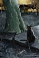 Foto de  Adriana Madrigal - Galería: Arte Personal - Fotografía: El gato de Poe