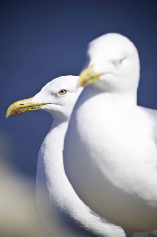 Fotografia de Xuan - Galeria Fotografica: Naturaleza - Foto: 