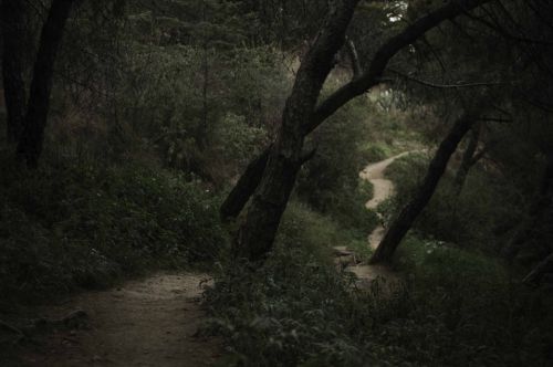 Fotografia de Xuan - Galeria Fotografica: Naturaleza - Foto: 