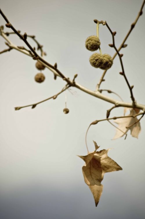 Fotografia de Xuan - Galeria Fotografica: Naturaleza - Foto: 