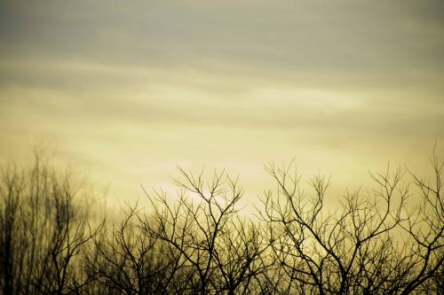 Fotografia de Xuan - Galeria Fotografica: Naturaleza - Foto: 