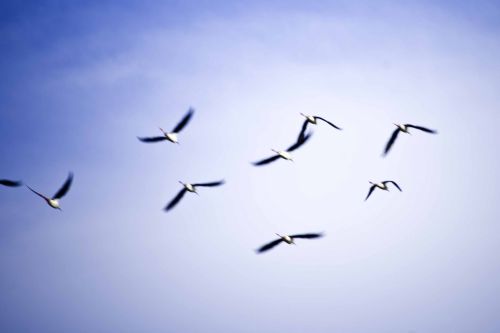 Fotografia de Xuan - Galeria Fotografica: Naturaleza - Foto: 